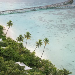 Bawah Reserve, Indonesia - Between Beds